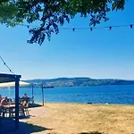 Magnolia *
