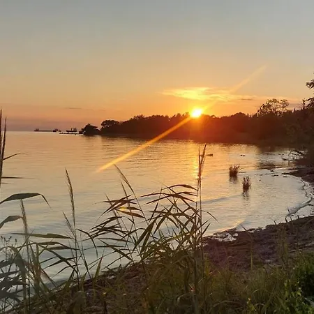 Appartement Magnolia *