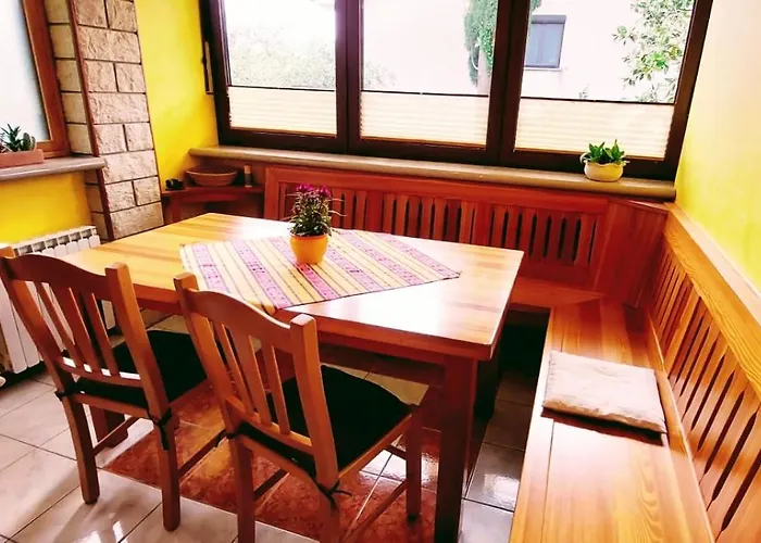 Magnolia * أنكاران