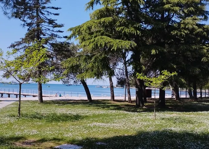 شقة Magnolia أنكاران