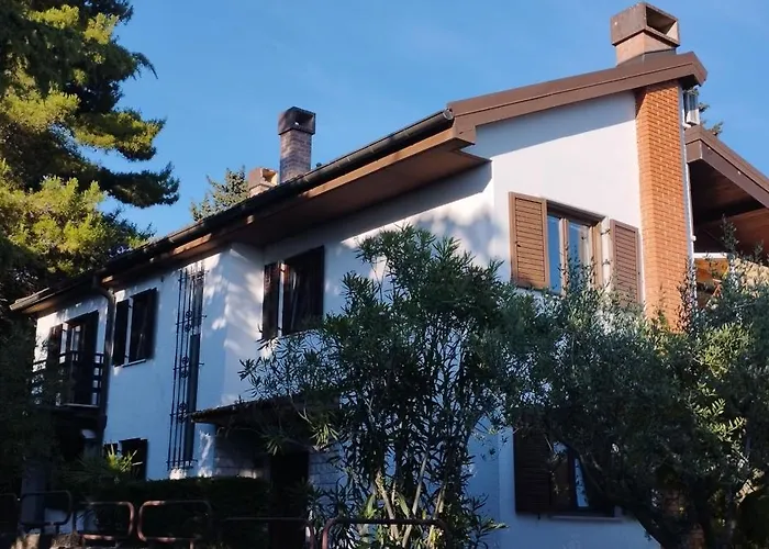 Magnolia أنكاران